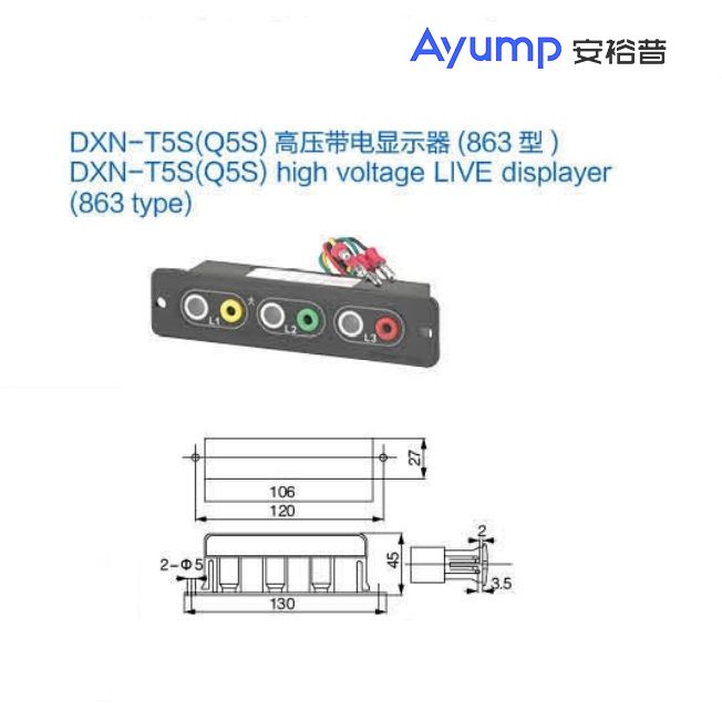 DXN-T5S(Q5S)高压带电显示器(863型)+
