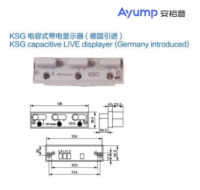 KSG电容式带电显示器(德国引进)+