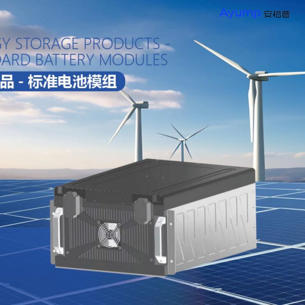 Energy Storage Products - Standard Battery Modules