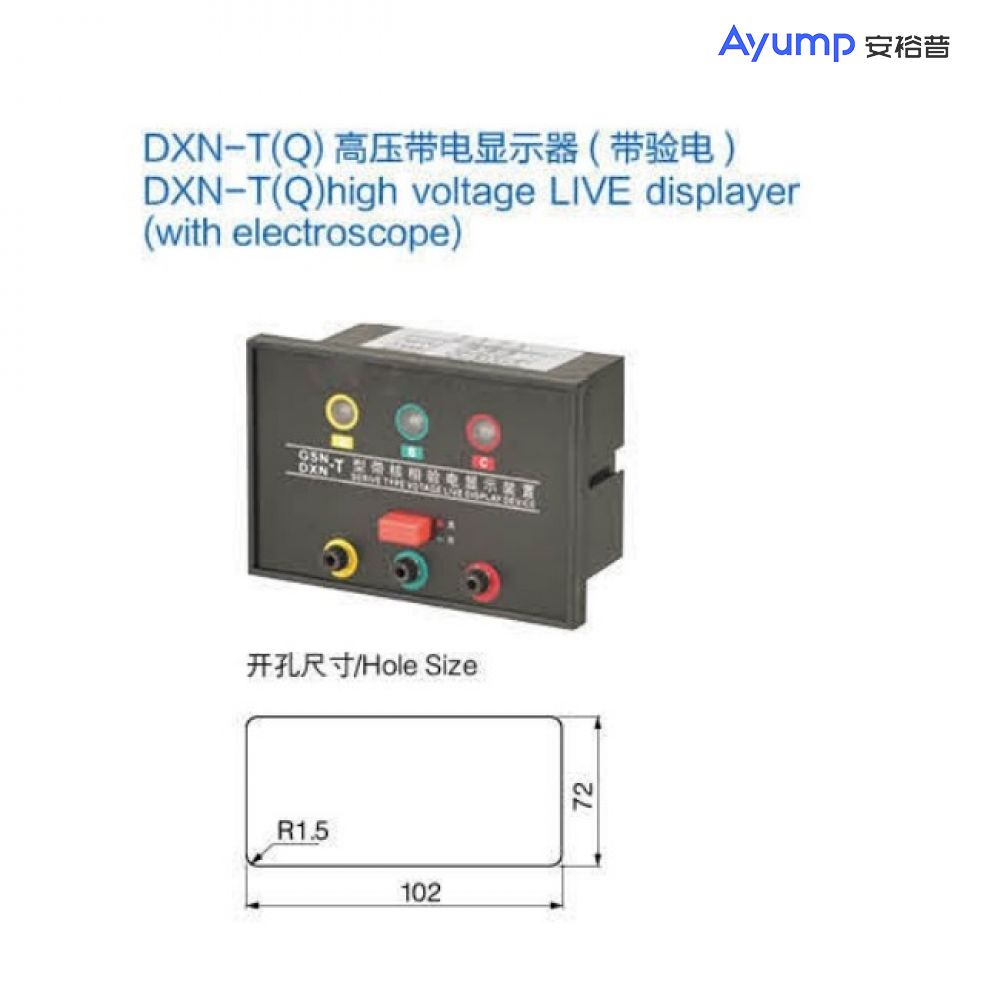 DXN-T(Q)high voltage LIVE displayer(with electroscope)