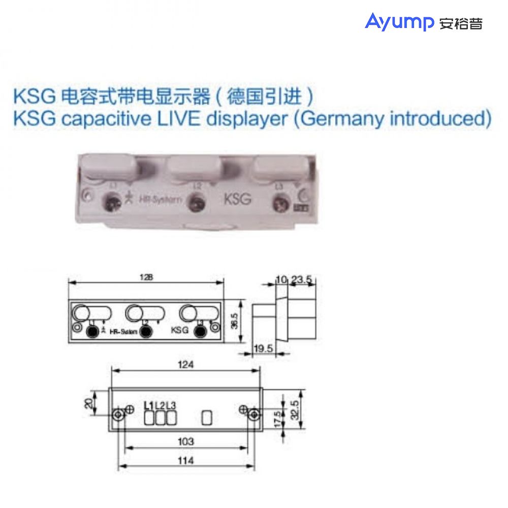 KSG capacitive LIVE displayer (Germany introduced)